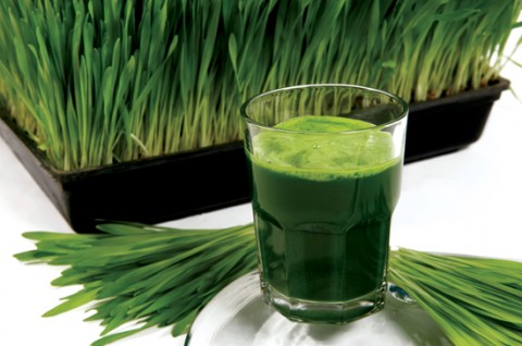 Anti-inflammatory Food: Wheatgrass